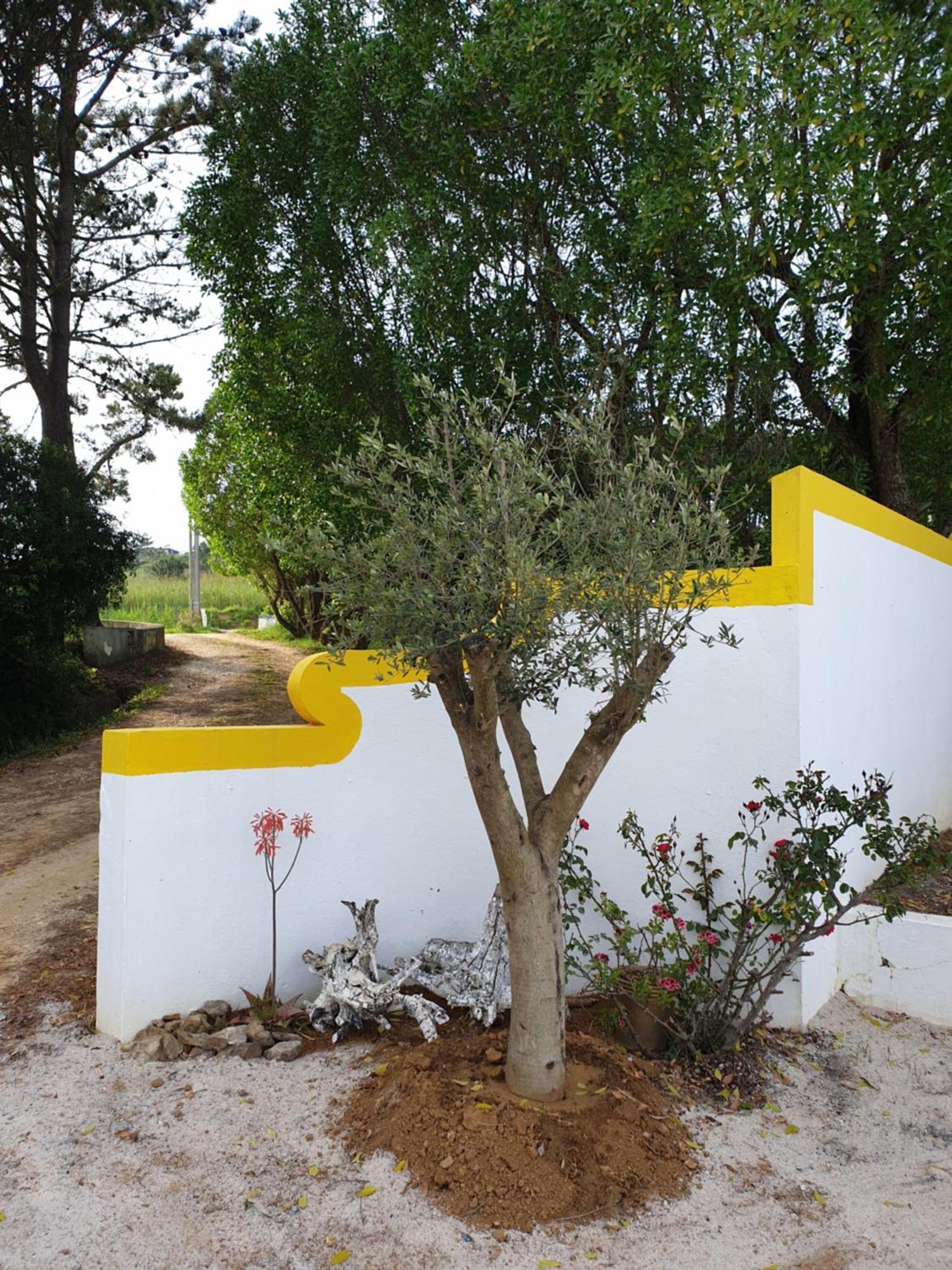 Sondela Self Catering Villa Sao Martinho do Porto Exterior photo